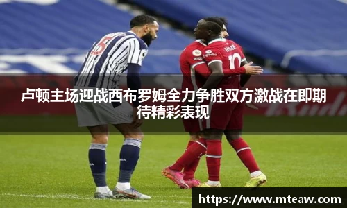 mksport体育